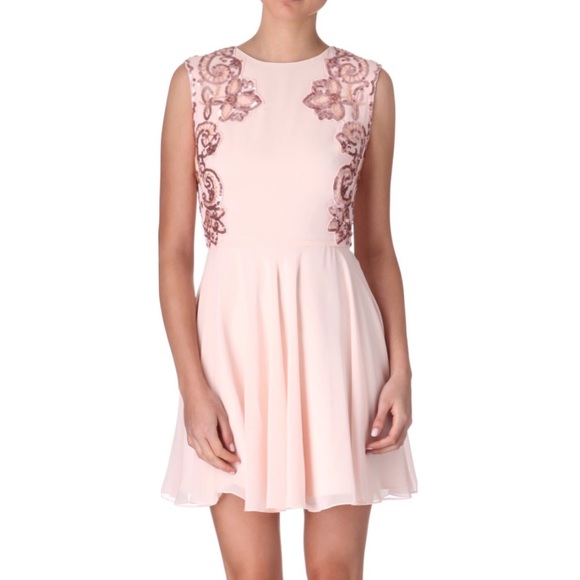 Ted Baker London Dresses & Skirts - NWT Ted Baker Nude Pink Fit & Flare Event Dress 6